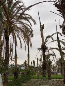 Garantízamos nuestros trabajos